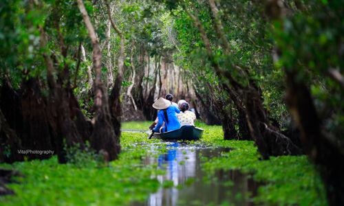 Chau Doc Tra Su Sanctuary Gree